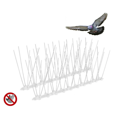Système Anti-pigeon Sur Balcon Image stock - Image du parasite, structures:  249124105